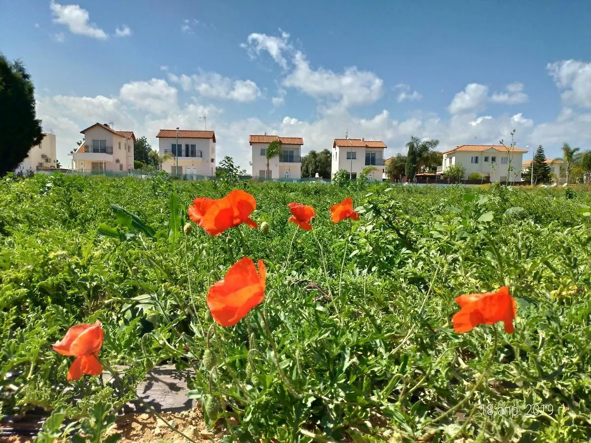 Maricosta Villas プロタラス